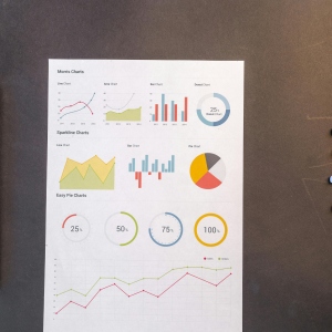 Advanced Financial Planning, Forecasting & Performance Analytics